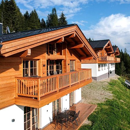 Skyberg Chalet Mühlbach am Hochkönig 外观 照片