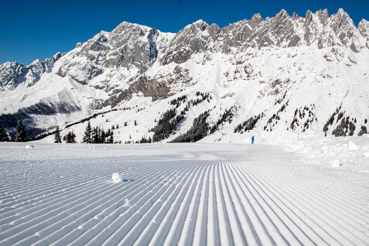 Skyberg Chalet Mühlbach am Hochkönig 外观 照片