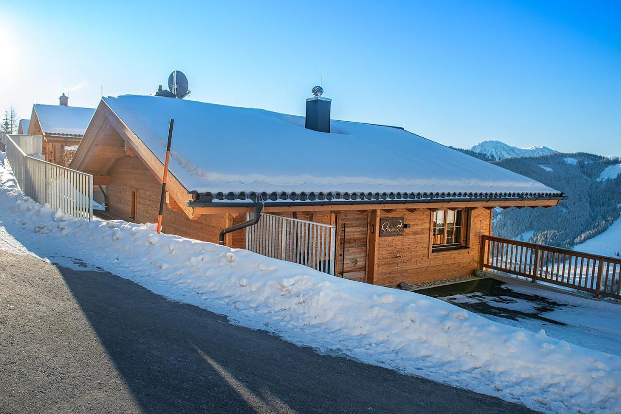 Skyberg Chalet Mühlbach am Hochkönig 外观 照片